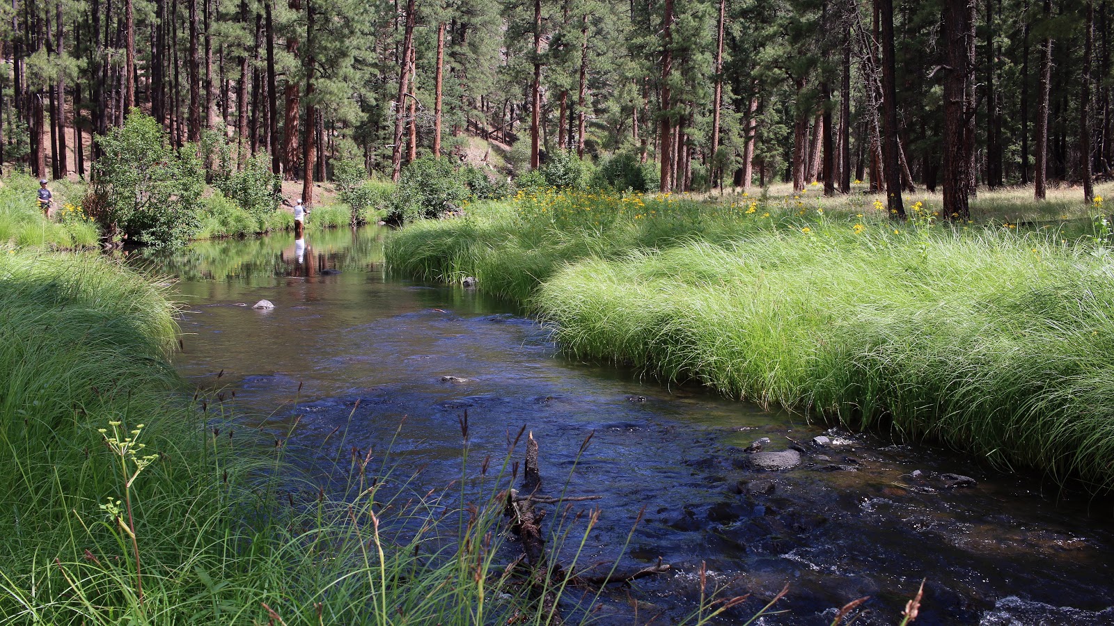 Horse Springs Campground