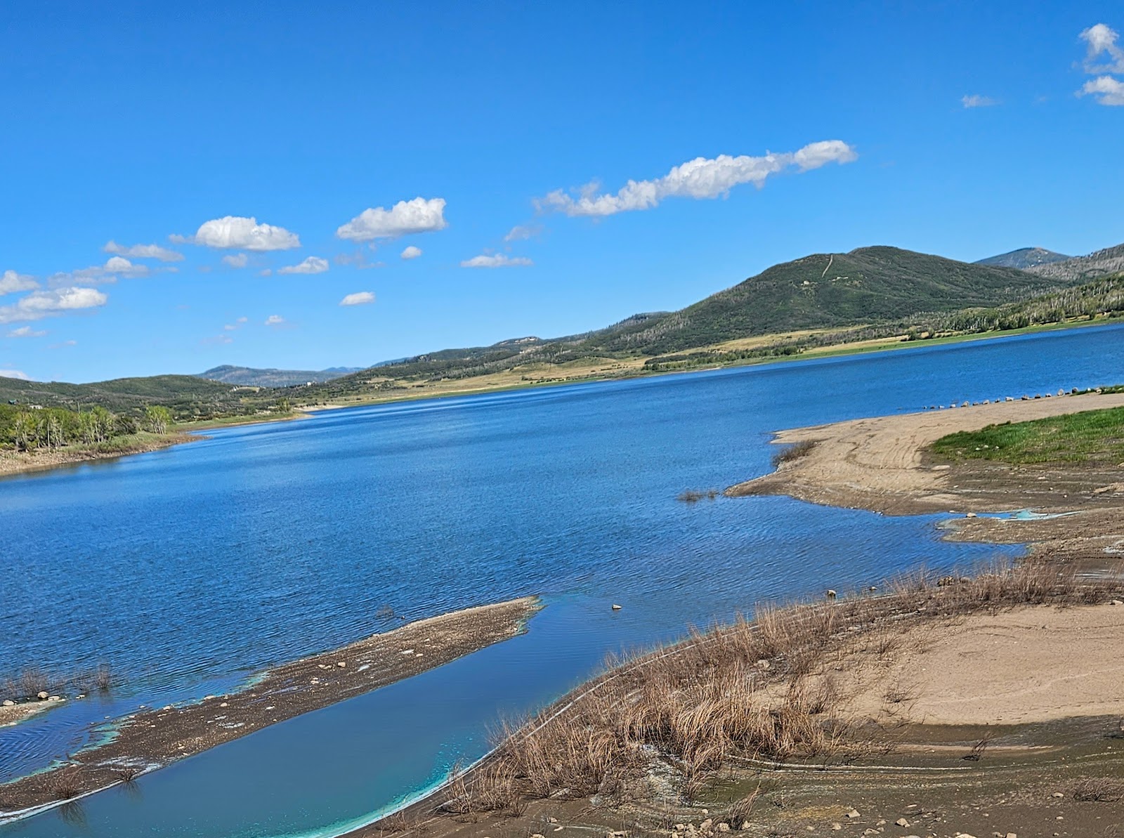 Aspen Grove - Vega State Park