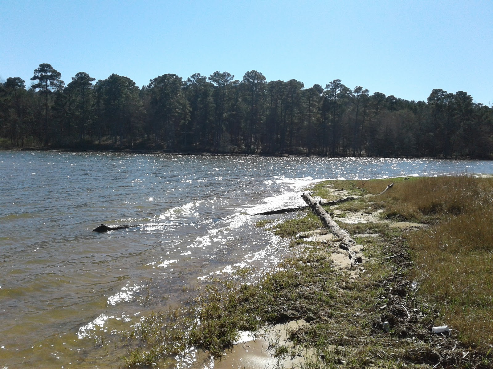 Bean's VIP Campground