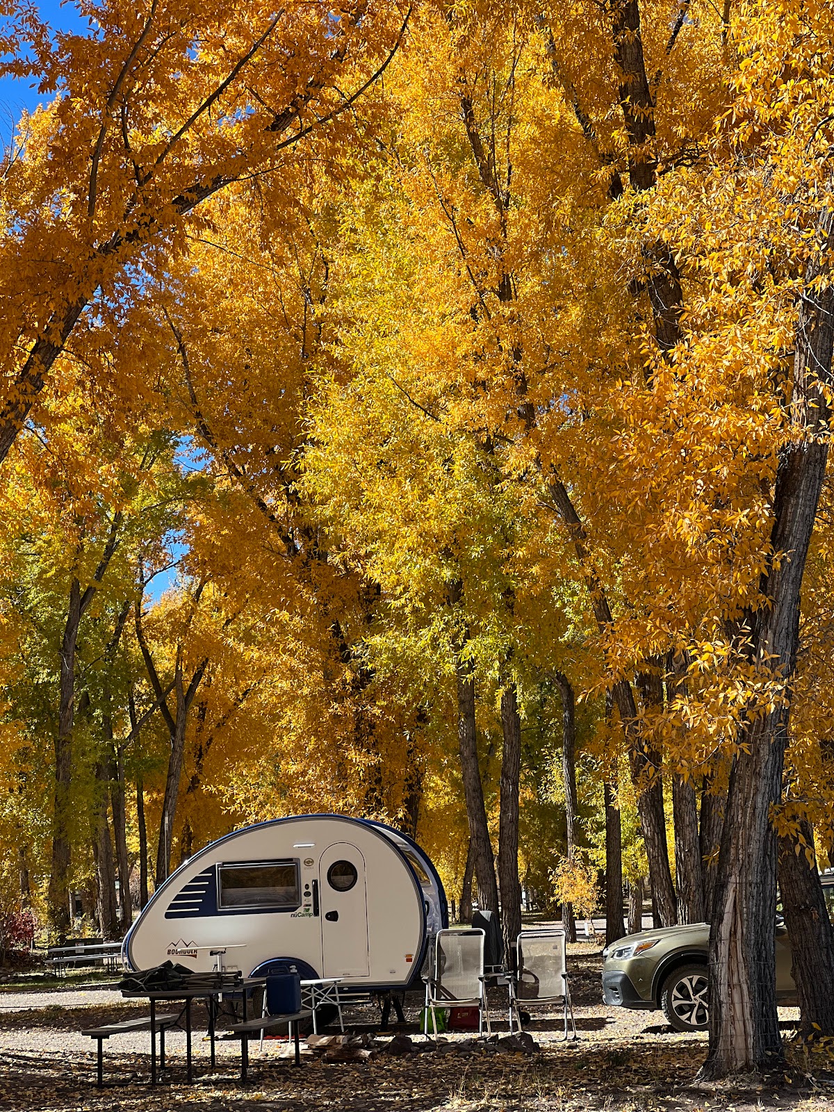 Woods and River RV Park