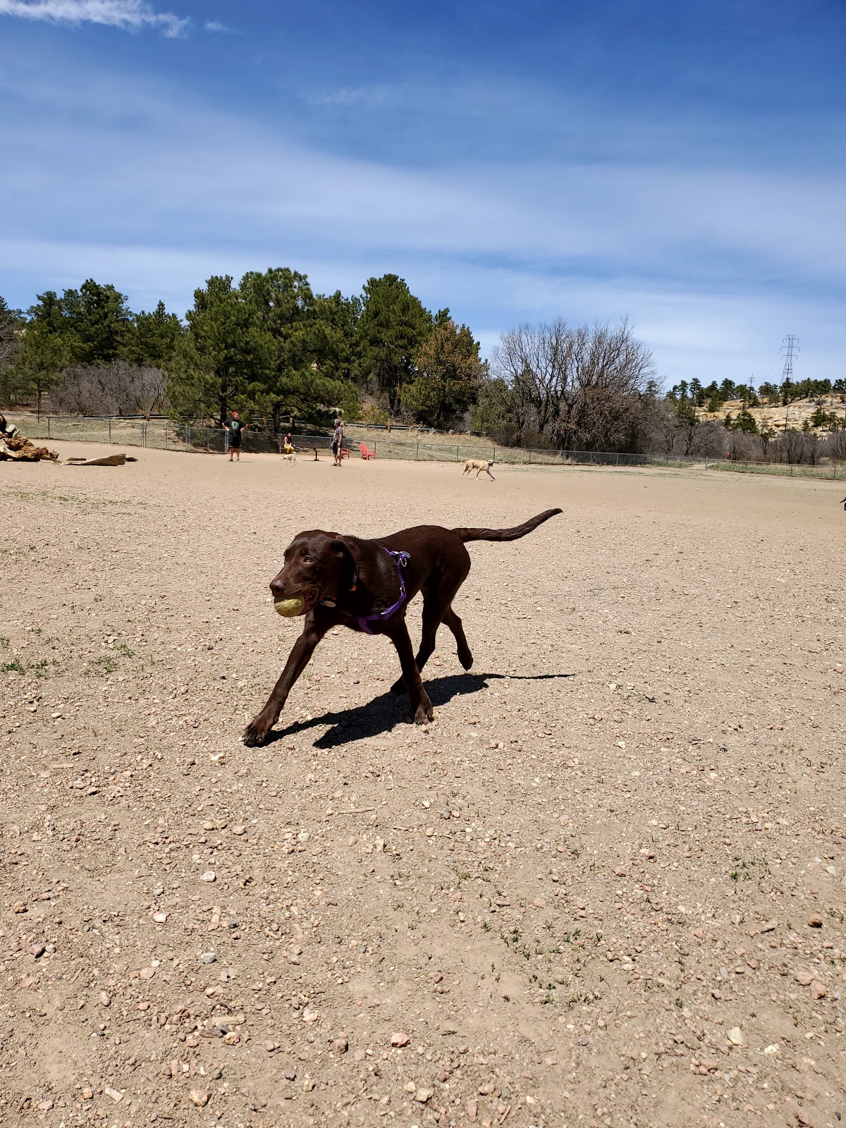 Kennedy Dog Park