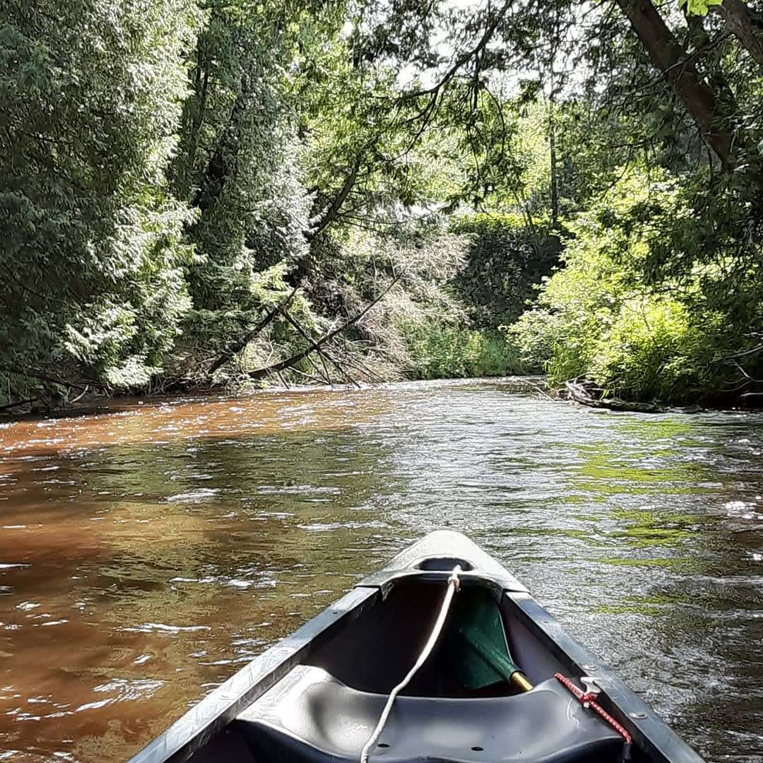 Silver Creek SF Campground