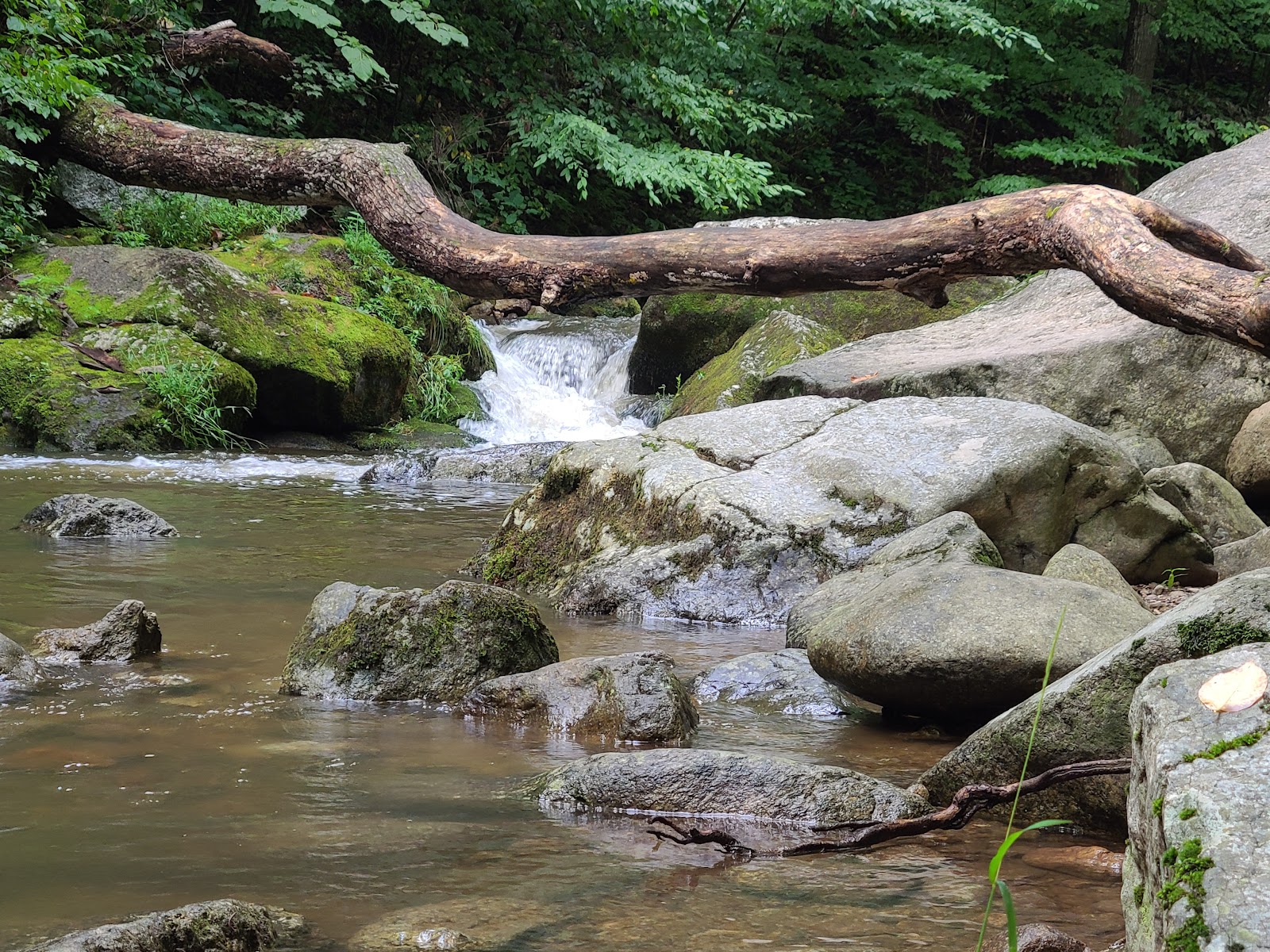 Crabtree Falls Campgrounds