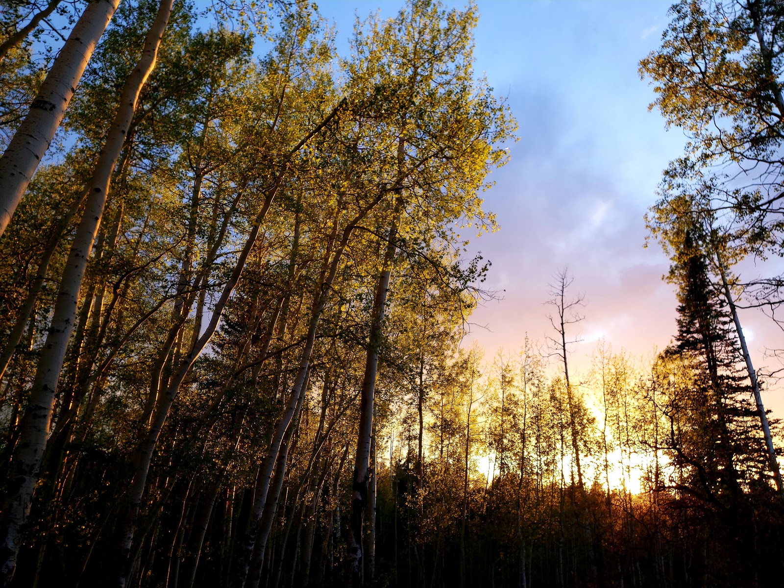 Hay Press Campground