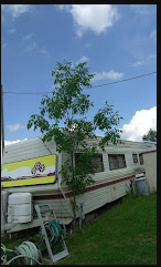 Peachie's Lakeside Camping