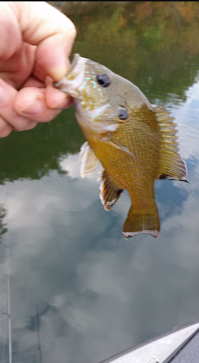 Cedar Fourche Landing