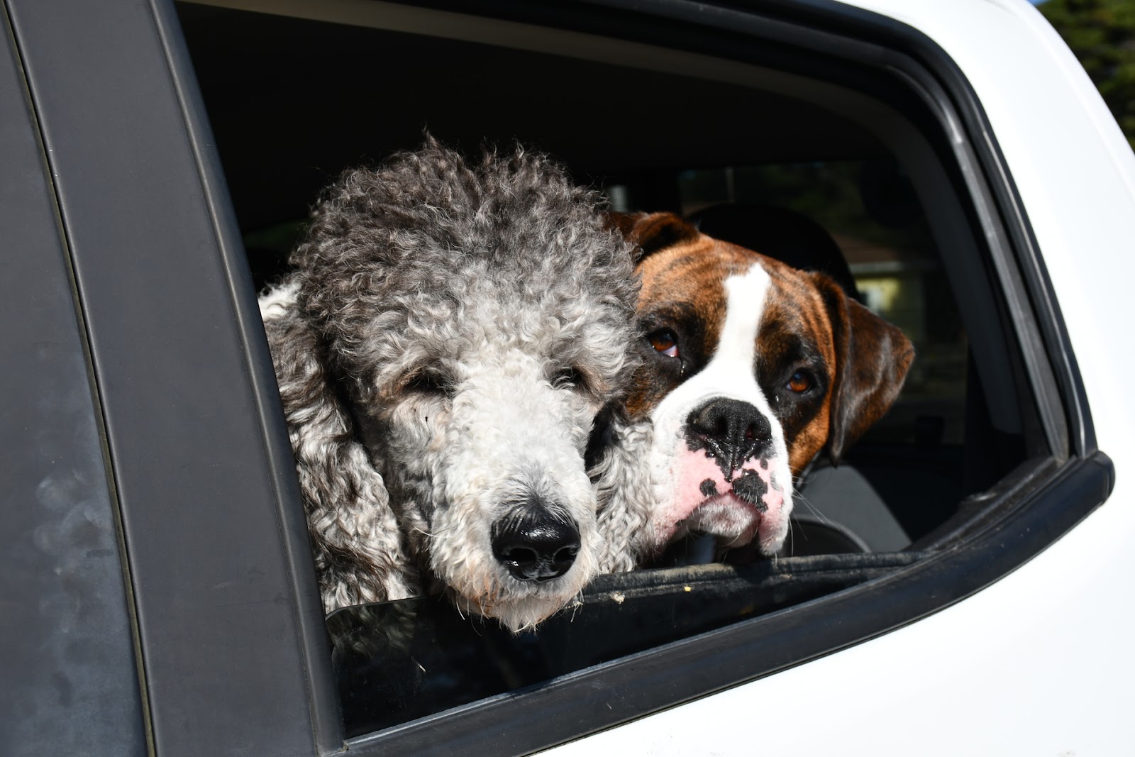 Waldport-Newport KOA