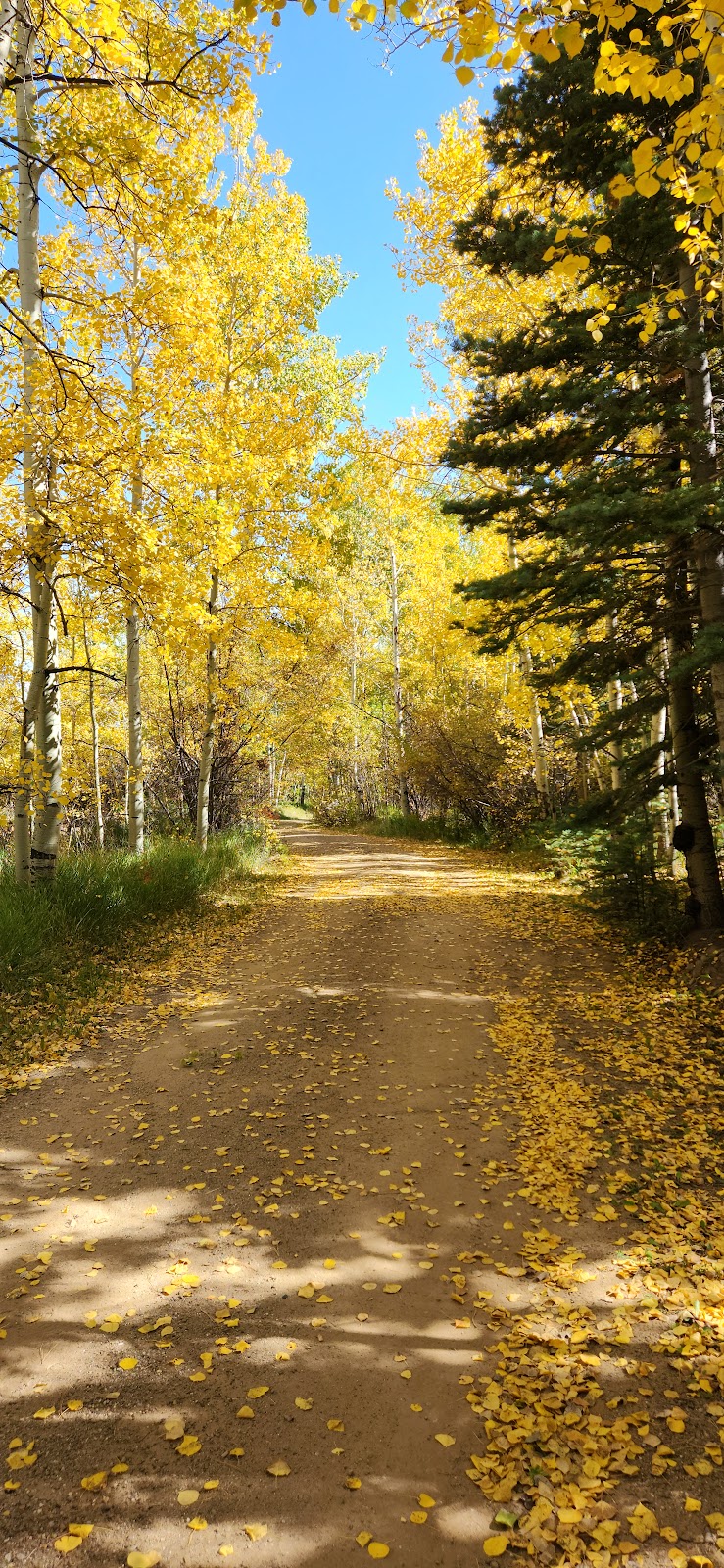 Lake Creek Campground