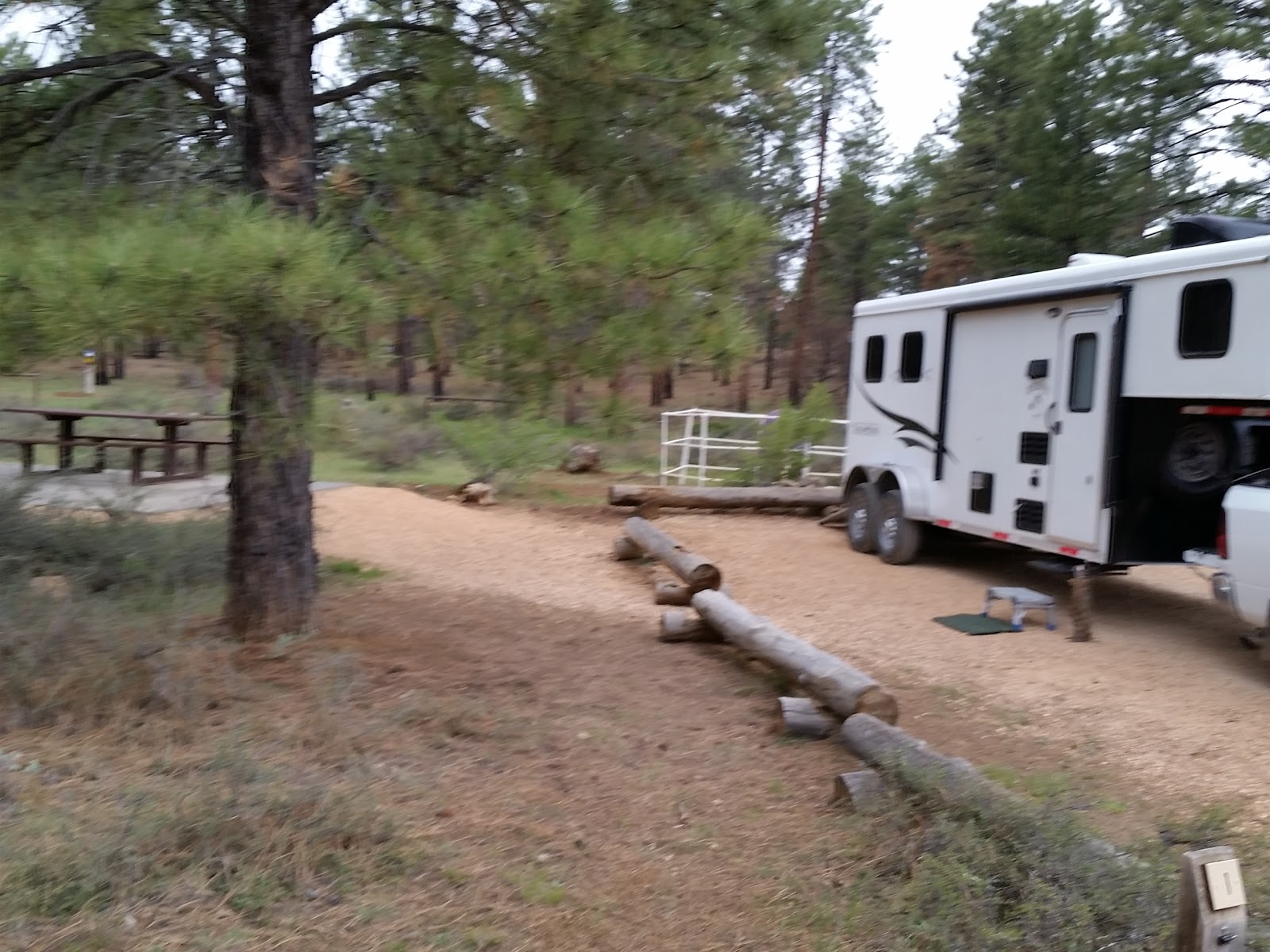 Coyote Hollow Equestrian Campground