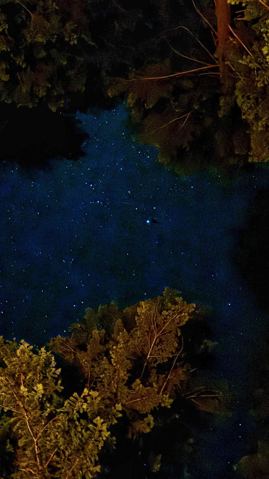 Monture Creek Campground