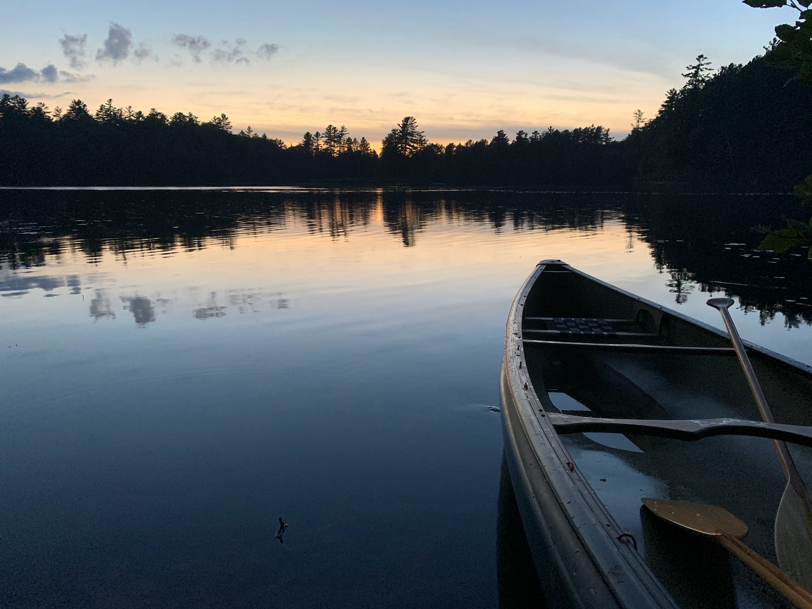 Rollins Pond Adirondack Preserve