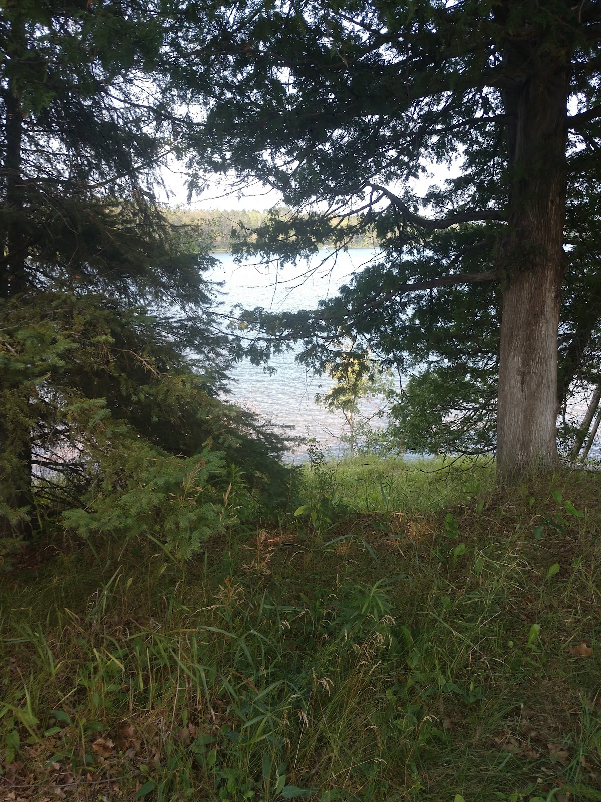 McCollum Lake SF Campground