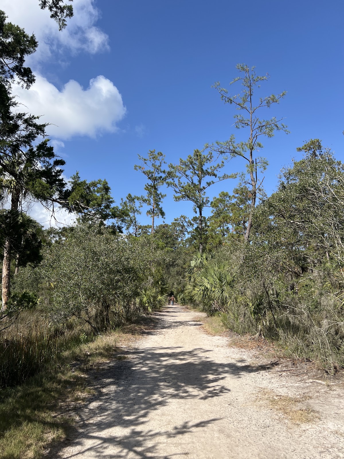 Skidaway Island State Park