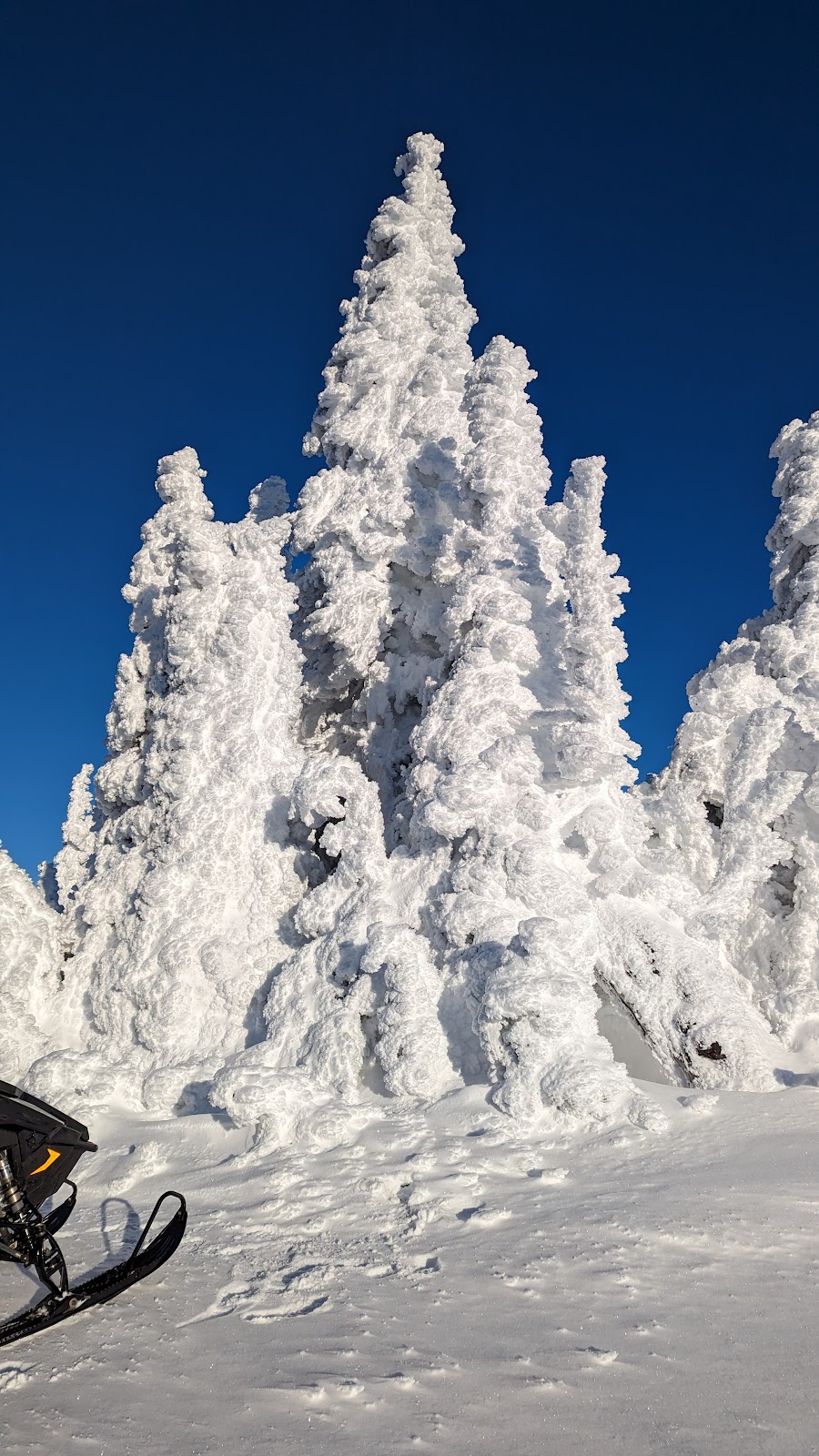 Quartz Mountain Campground