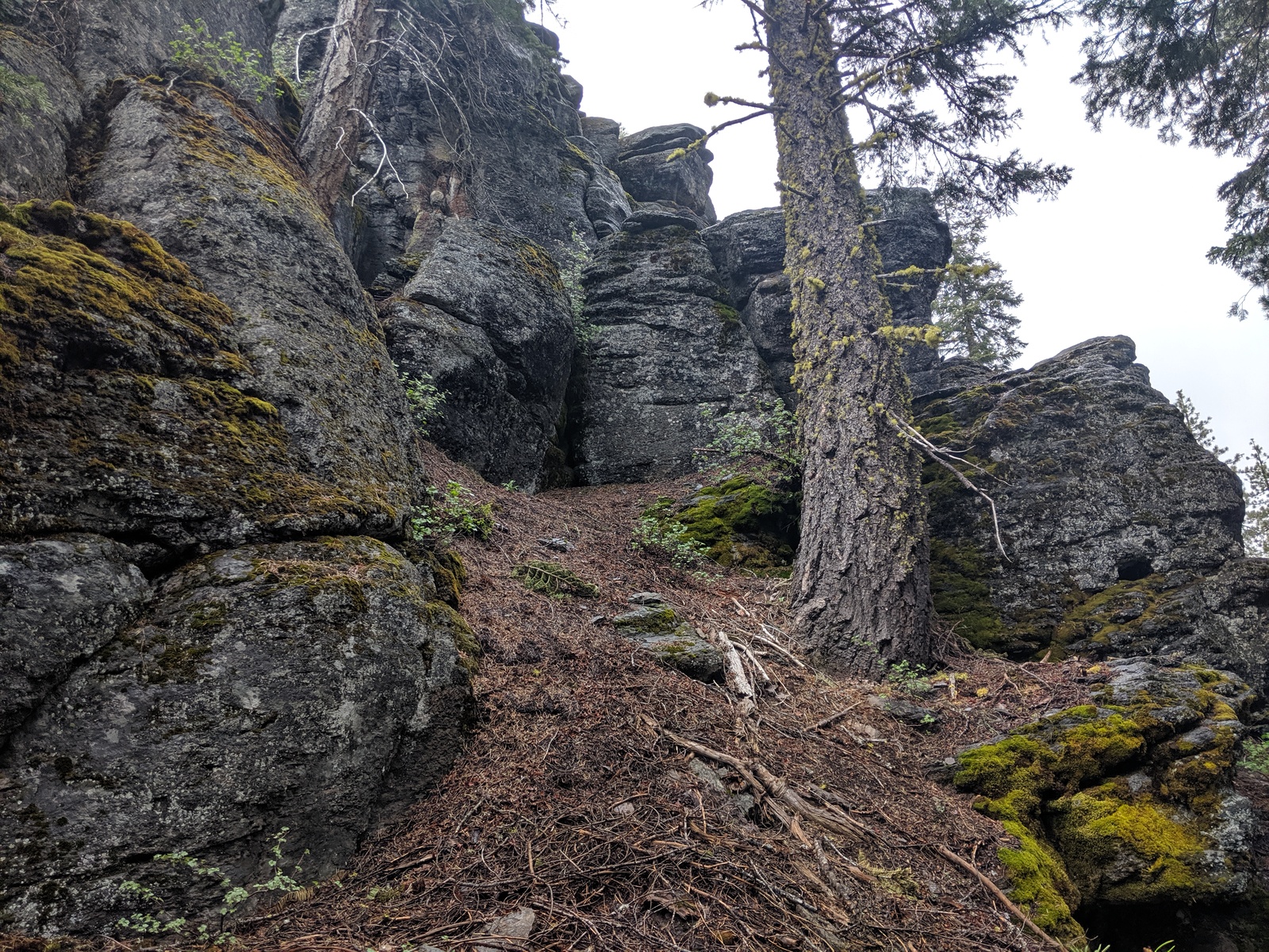 High Bridge Campground