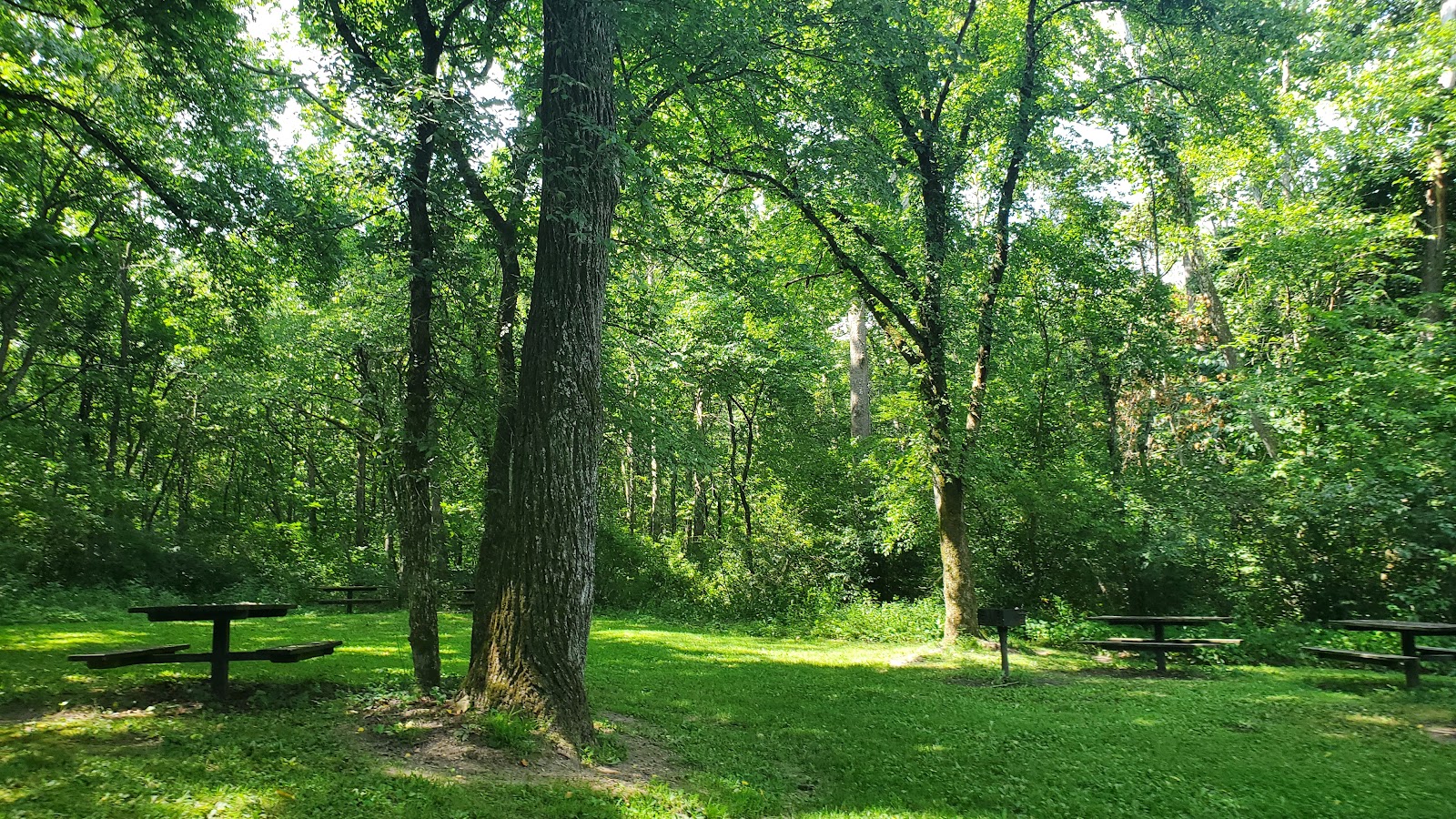 Lane Spring Campground