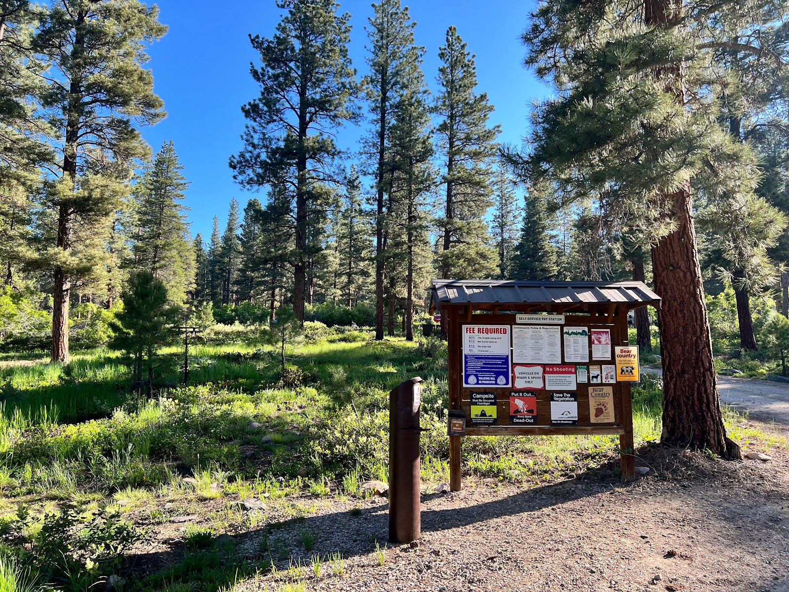 Yellow Pine Campground