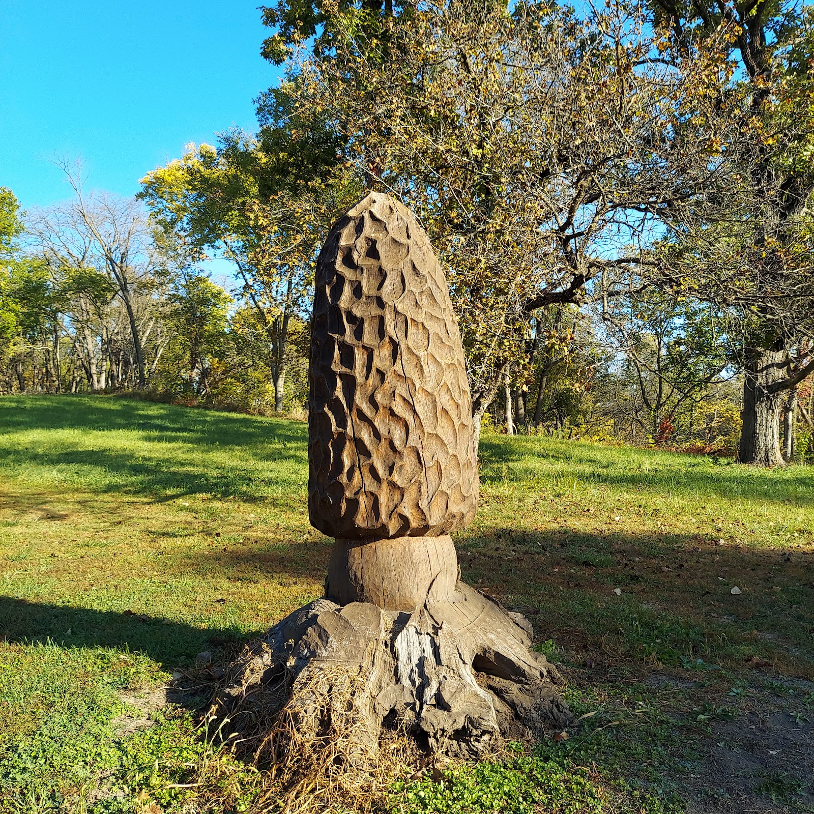 Thomas Mitchell Park