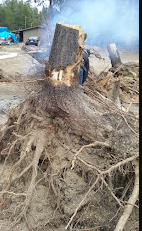 Jack Pine RV and Mobile Home Pk