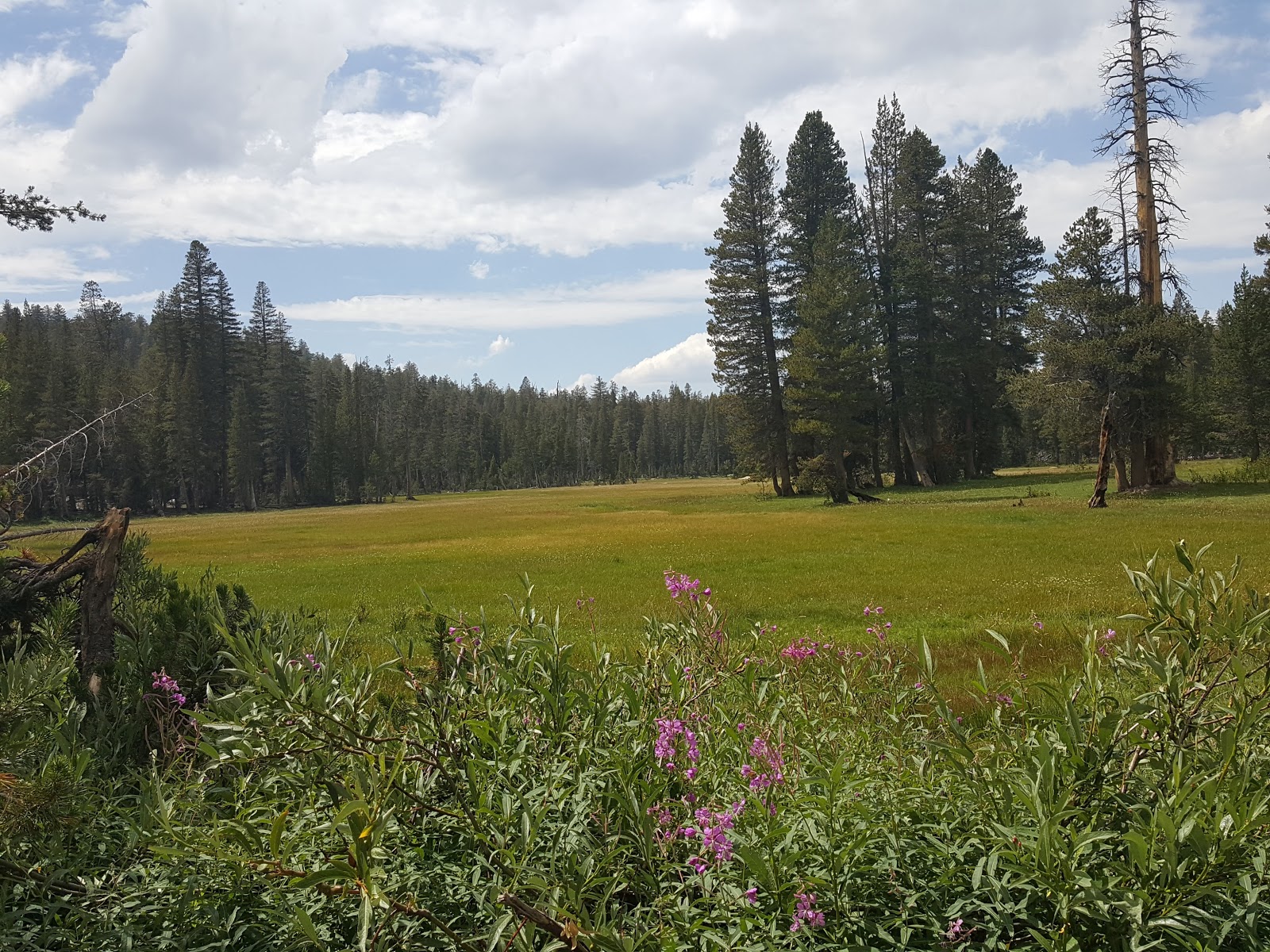 Vermilion Campground