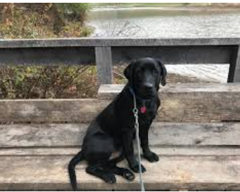 Strouds Run State Park