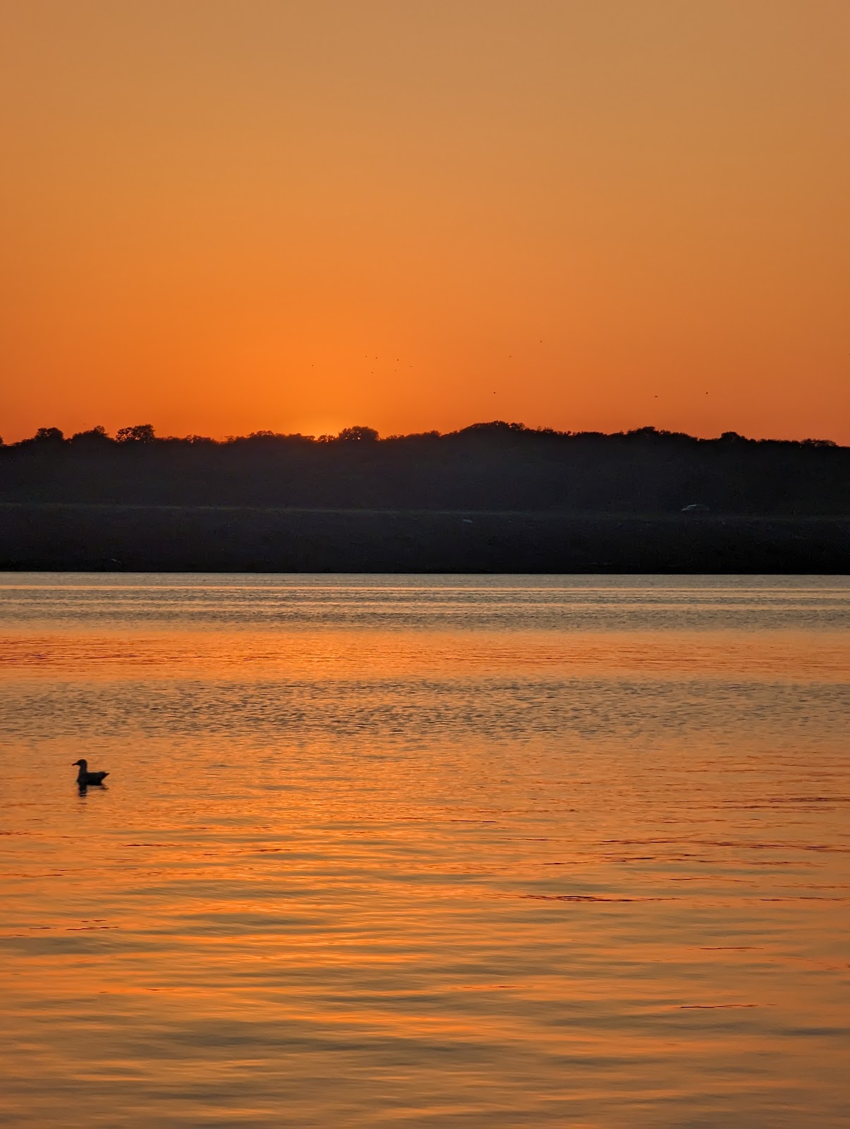 Whitehorn Cove Marina
