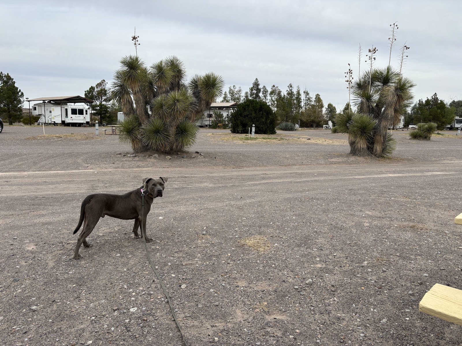 Loma Paloma Golf Course & RV Park