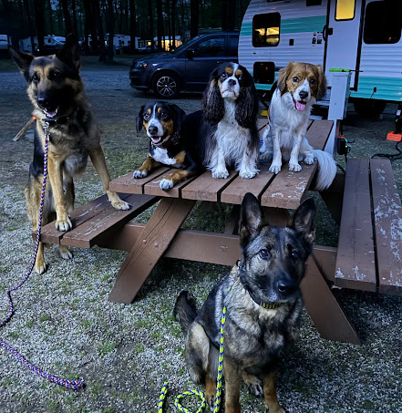 Duke Creek Campground