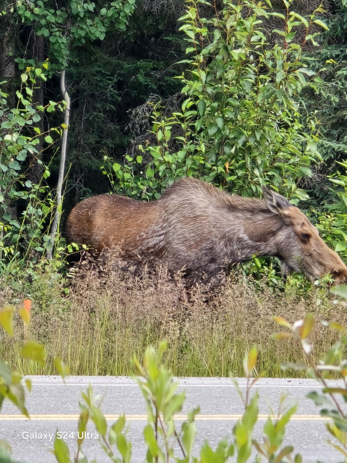 Klondike RV Park and Cottages