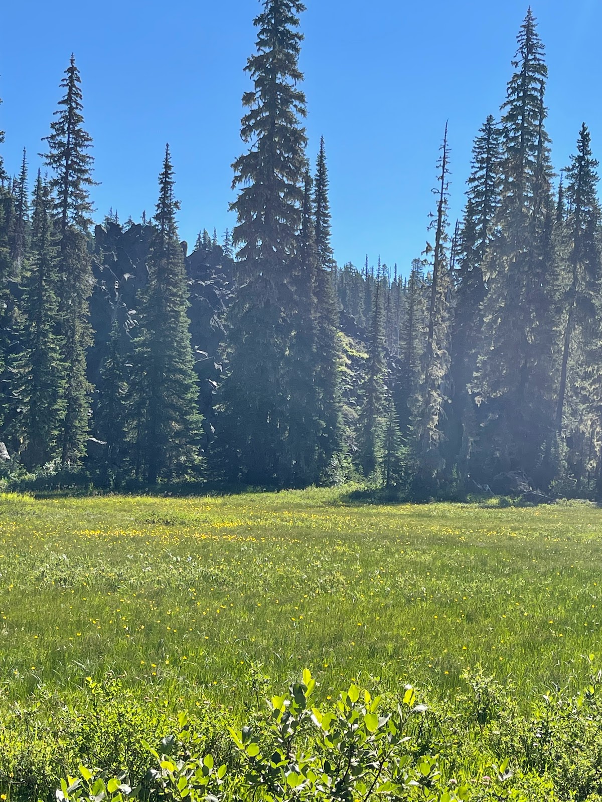 Takhlakh Lake Campground