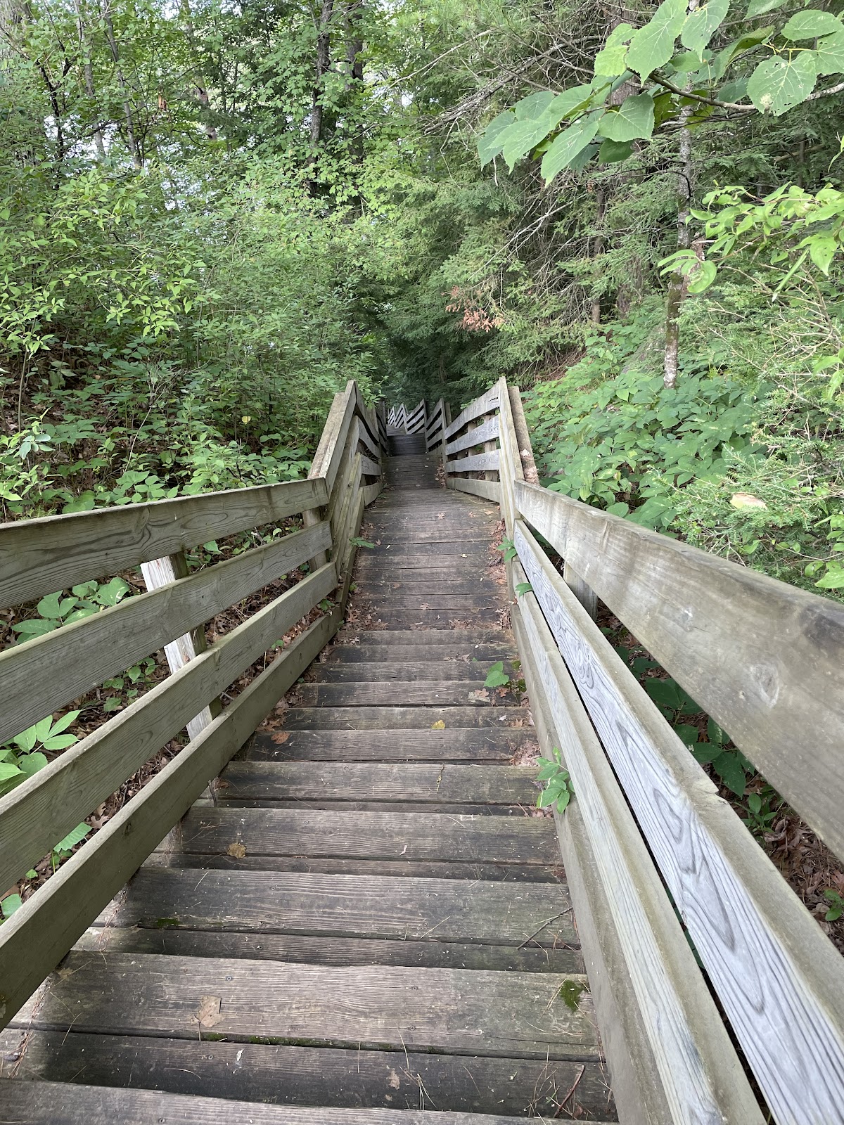 Rollways NF Campground