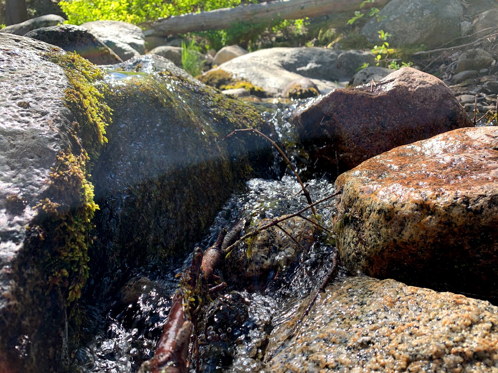 Pardoe Point Campground