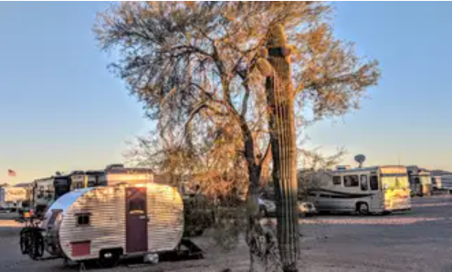 Cactus Patch Trailer Park