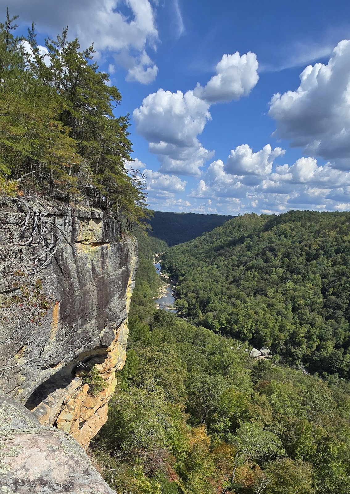 Bandy Creek - Big South Fork National River Rec Area