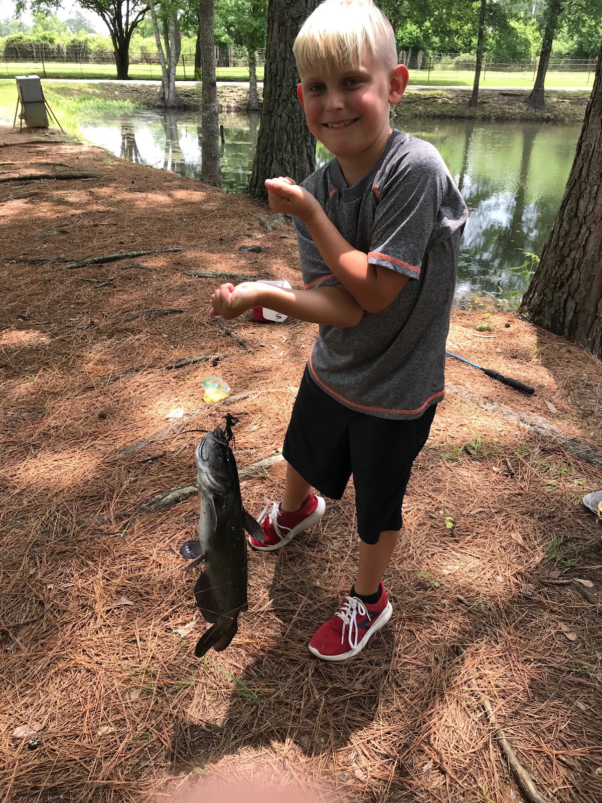 My Favorite Campground