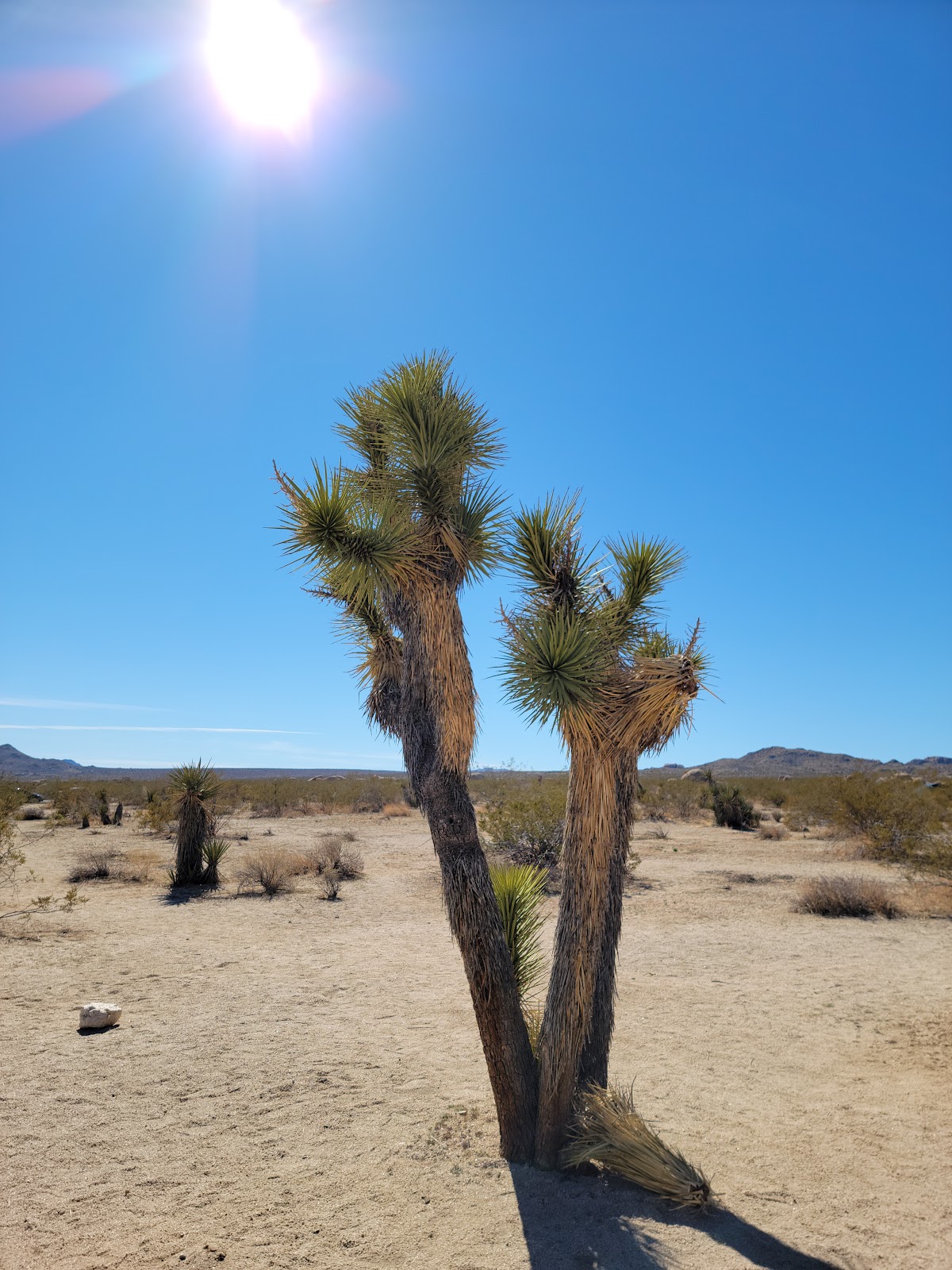 White Tank Campground