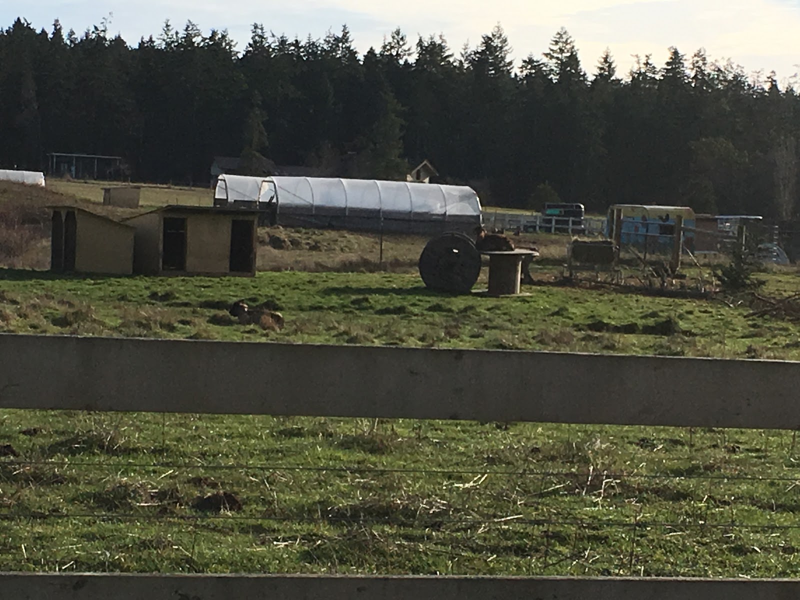 Smitty's Island Retreat