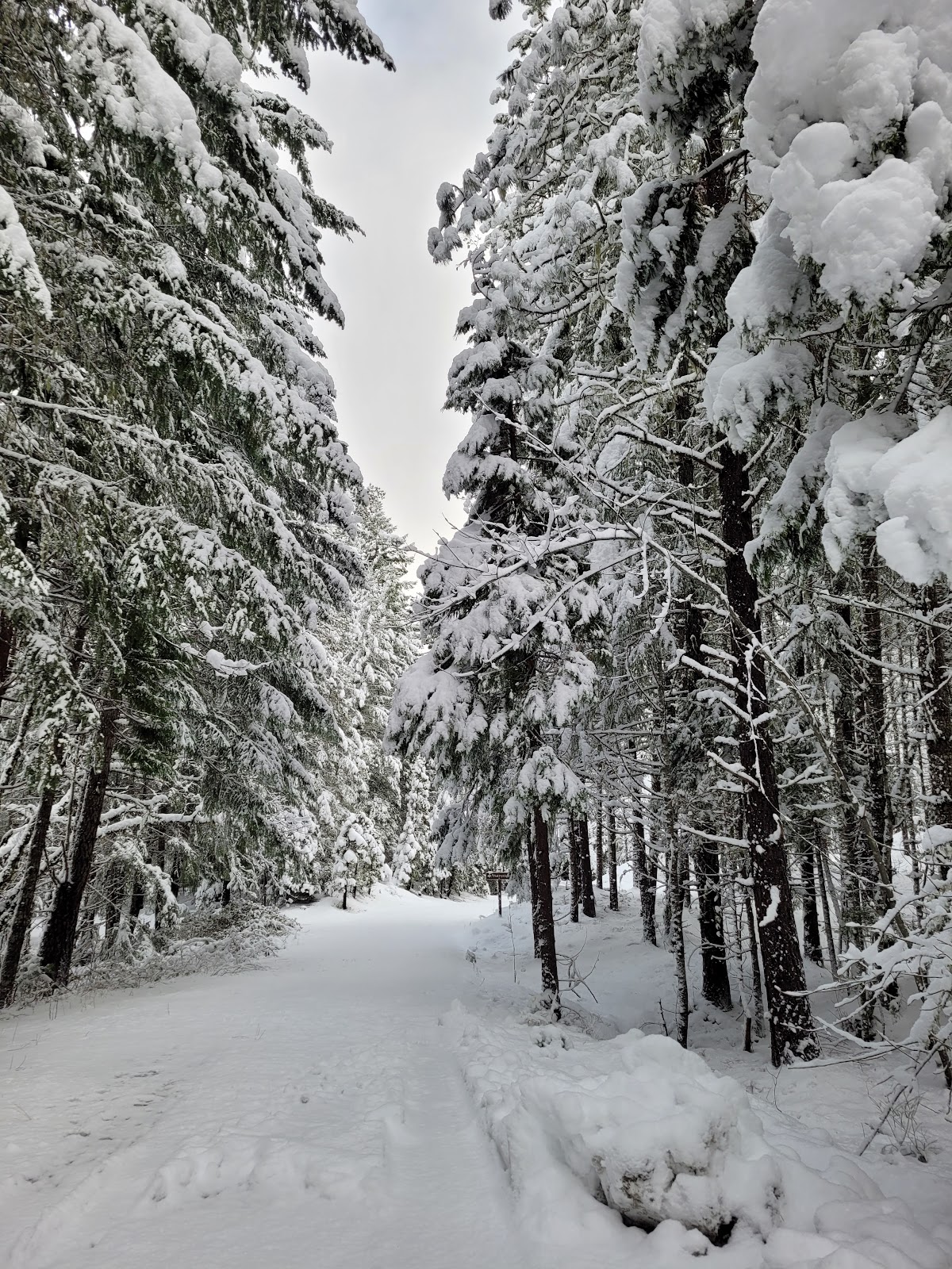 Skimmerhorn Campground