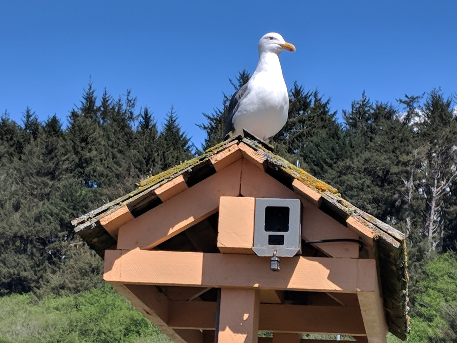 Clam Beach State Campground