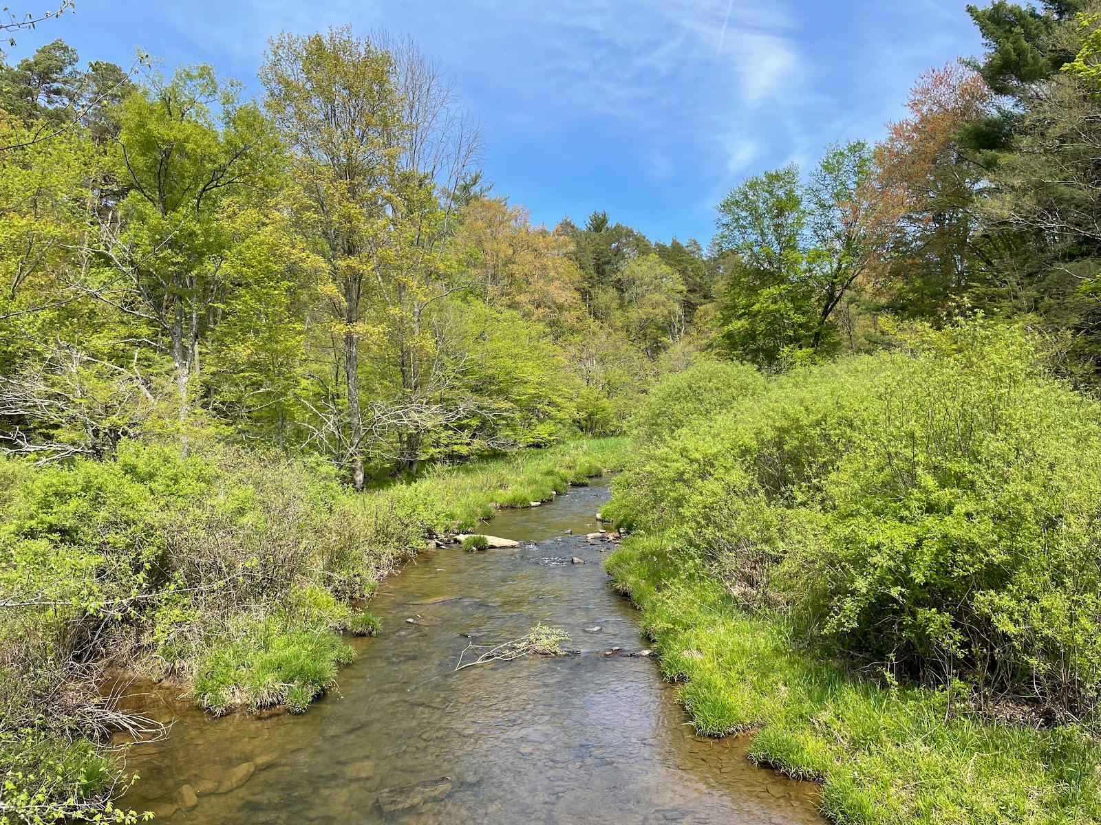 Allegany State Park (Red House Area)