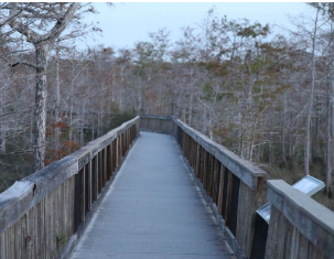 Pink Jeep Campground