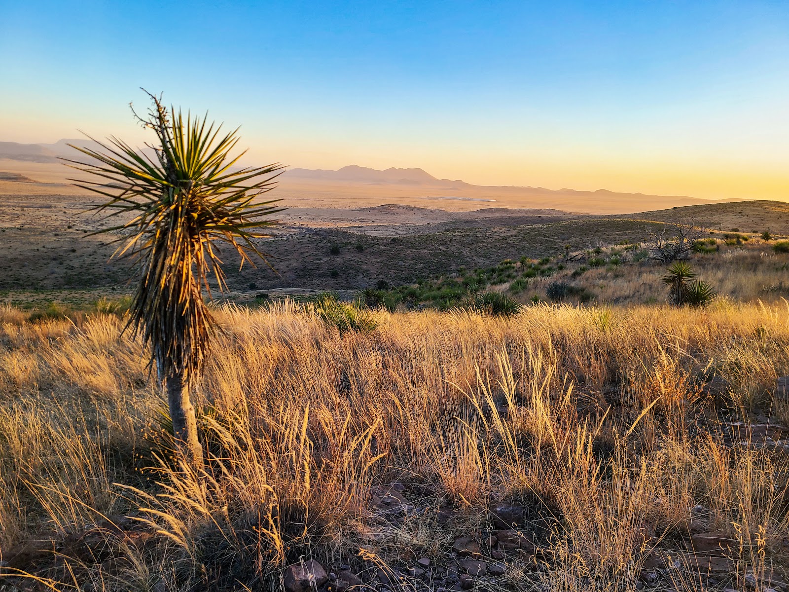 Main - Davis Mountains State Park