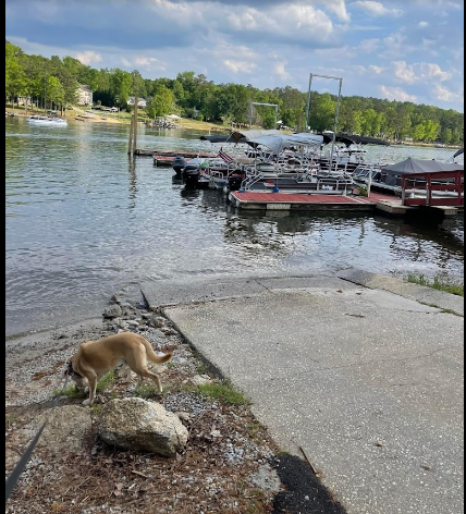 Wateree Lake Campground