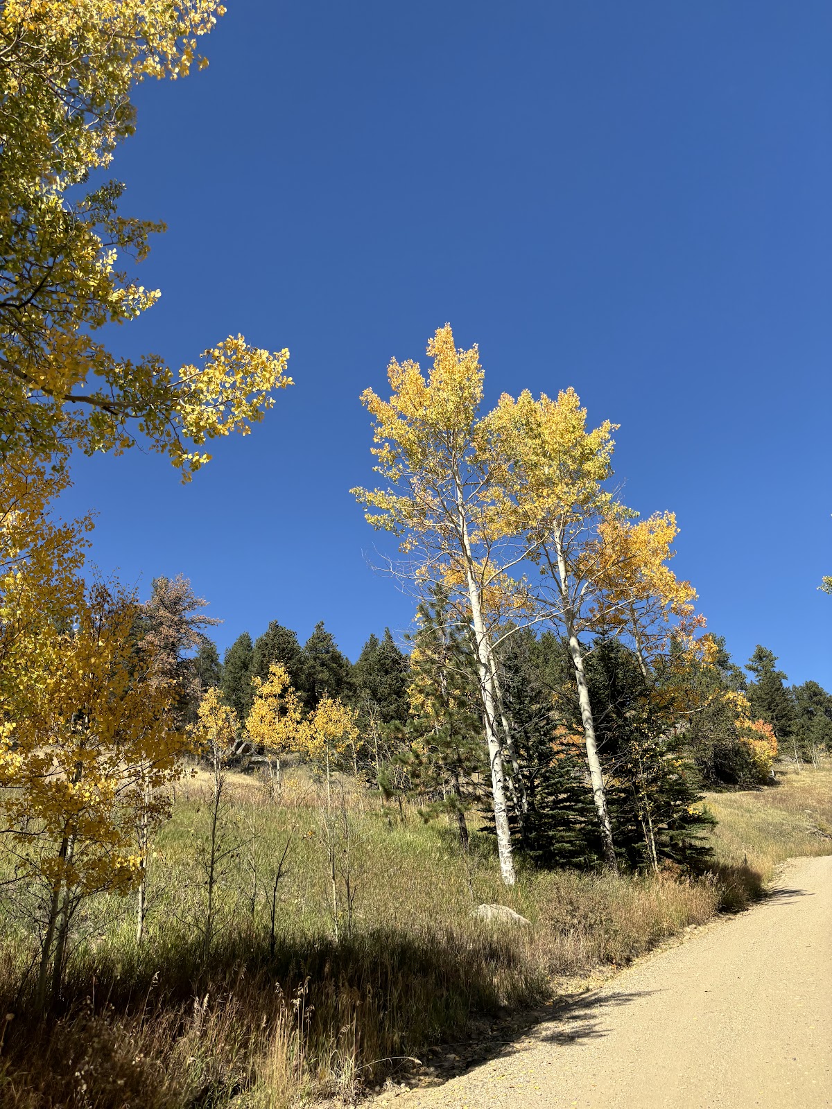 Golden Gate Canyon State Park