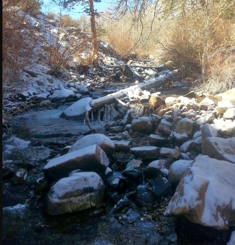 Bishop Park Campground (CA)