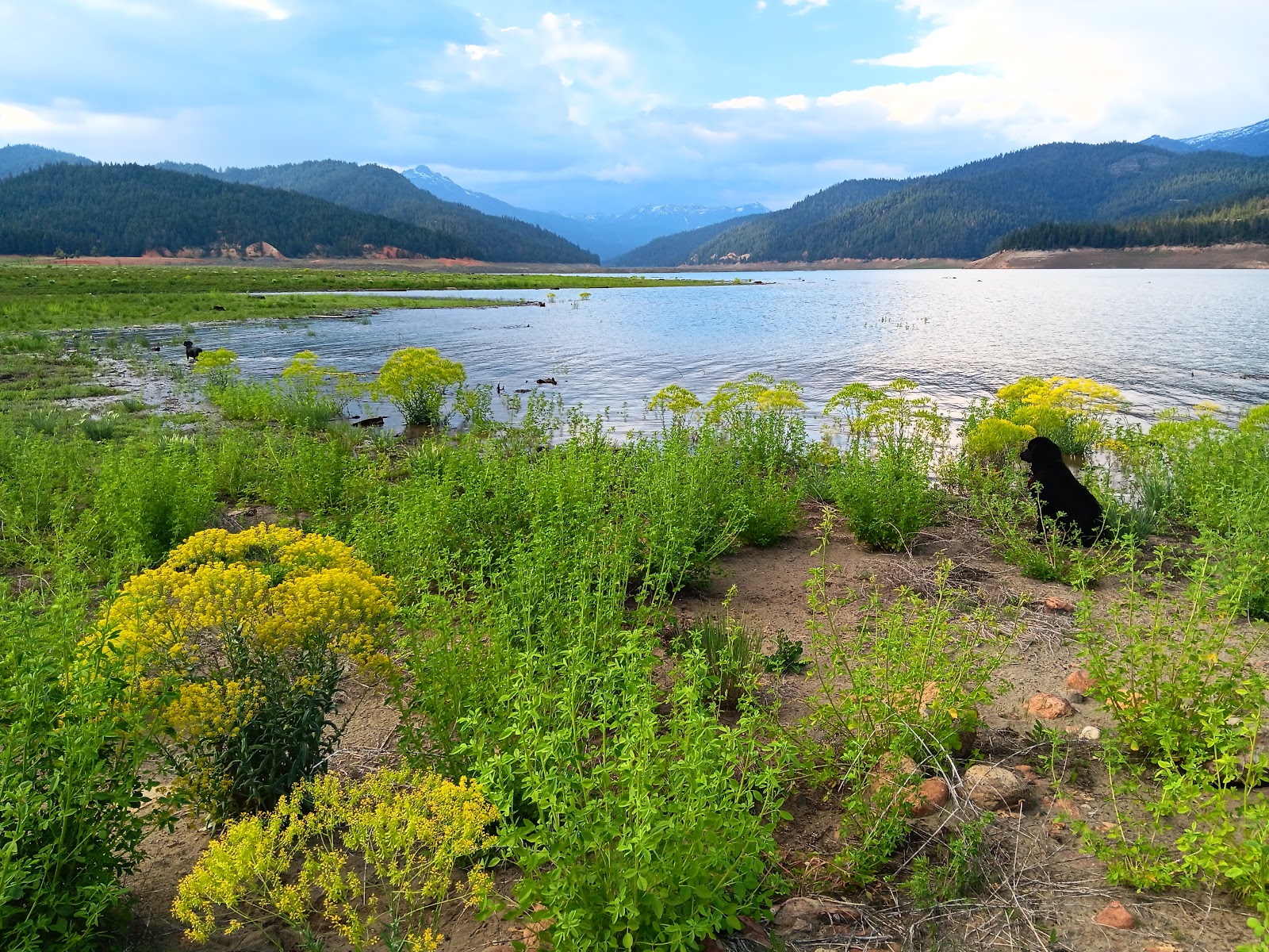 Coffee Creek Campground and RV