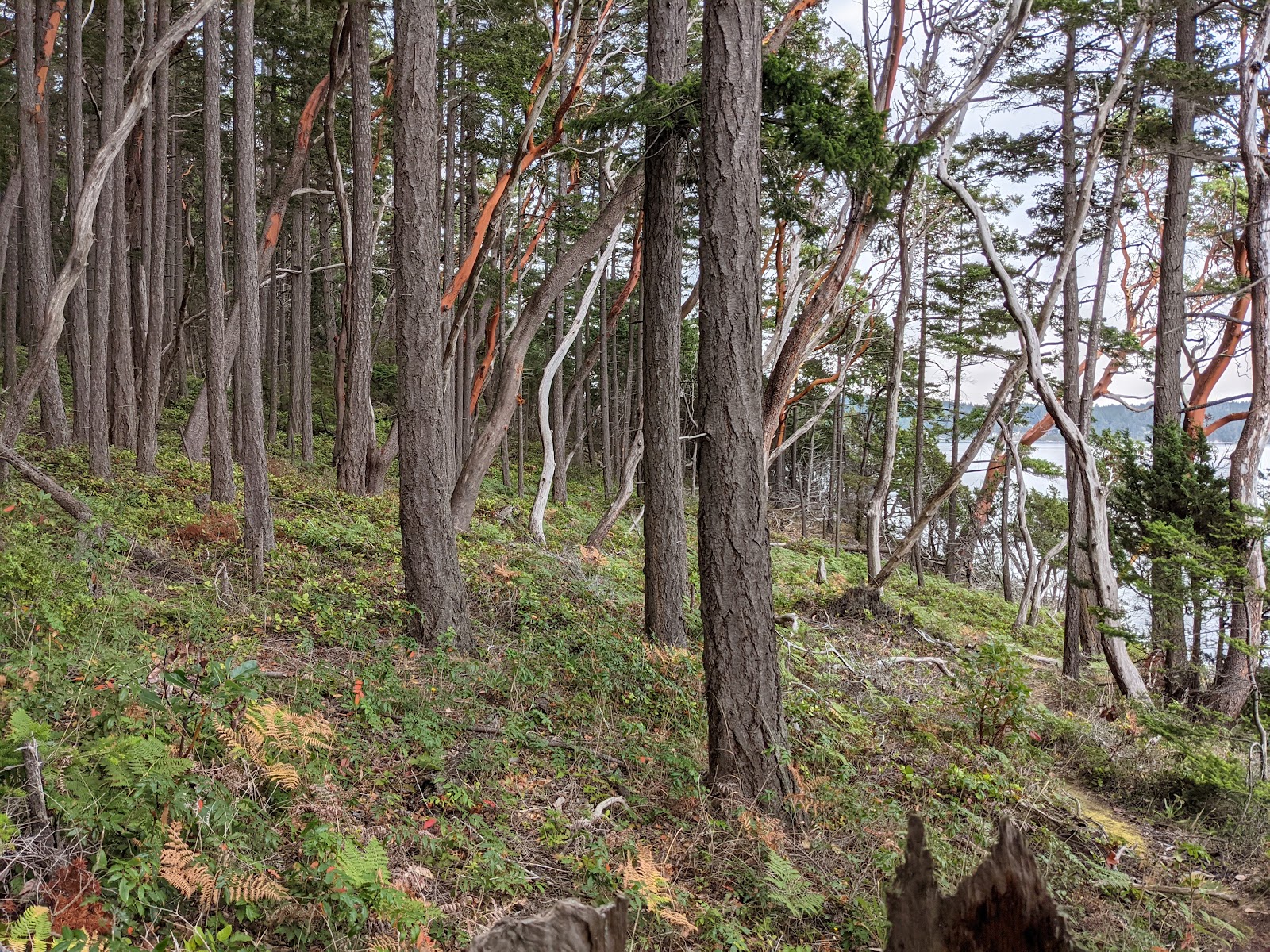 Hope Island Marine State Park - Skagit County Camping