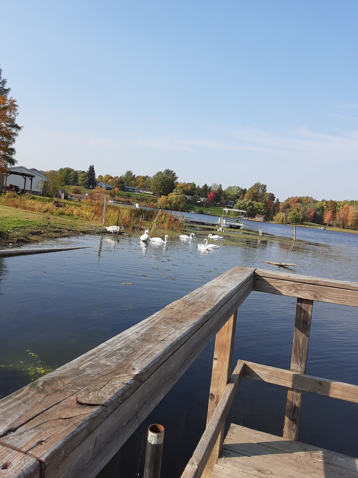 Belvidere Township Park