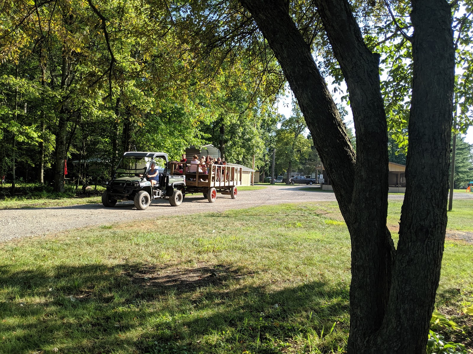 Tree Haven Campground