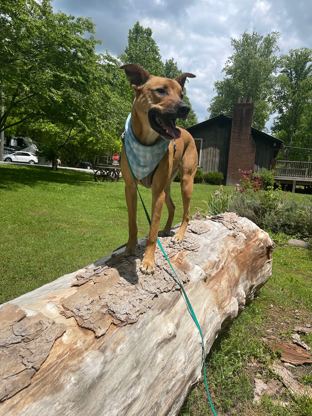 Little River Campground